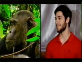 El cortejo de los primates humanos: La primera impresion