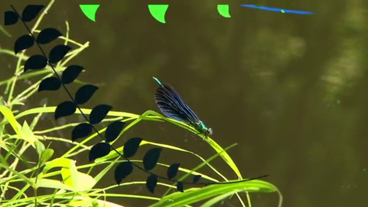 Restauration des rivières - Formation des élus du bassin de la Vienne