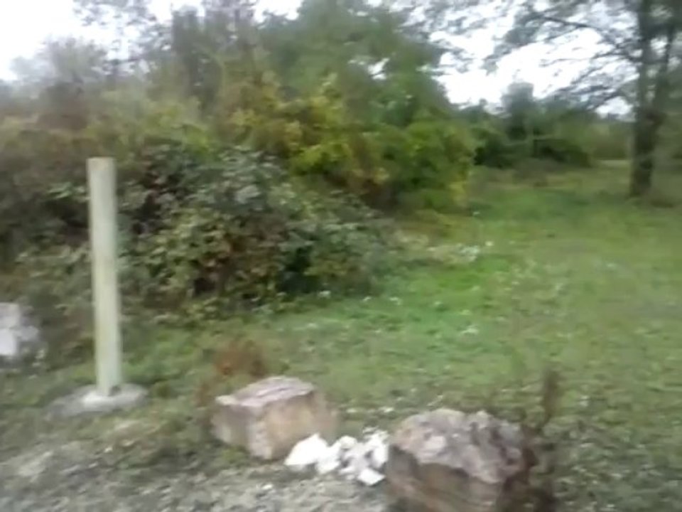CAM00029