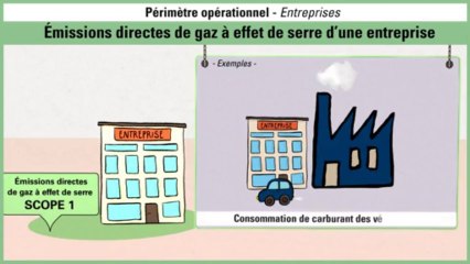 Périmètre opérationnel : cas des entreprises