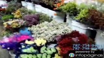 P.R. Floral Marketing | Floristería San Juan