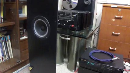 lungyim~Jamo Silhouette Floorstanding Speaks.