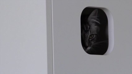 Katzenmöbel von FURniture smart living