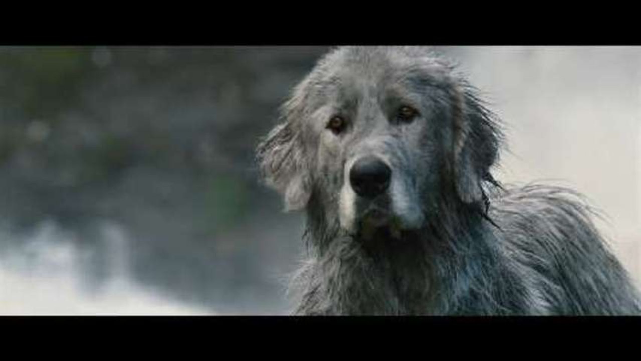 Belle und Sebastian - Exklusiver Clip (Deutsch) HD