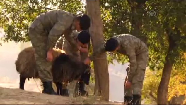 Hudut kartalları nın bayram sevinci