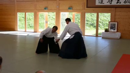 Aikidolehrgang im Budokan Wels im Oktober 2013, ÖAV Österreichlehrgang