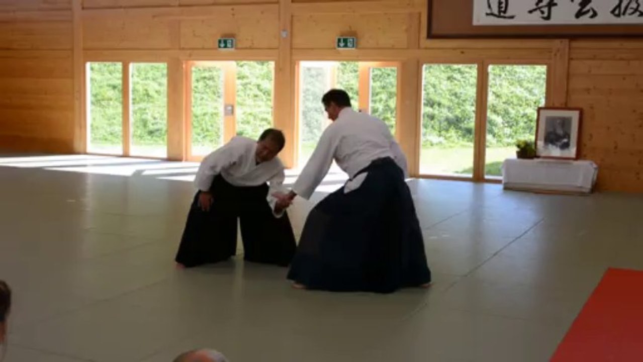 Aikidolehrgang im Budokan Wels im Oktober 2013, ÖAV Österreichlehrgang