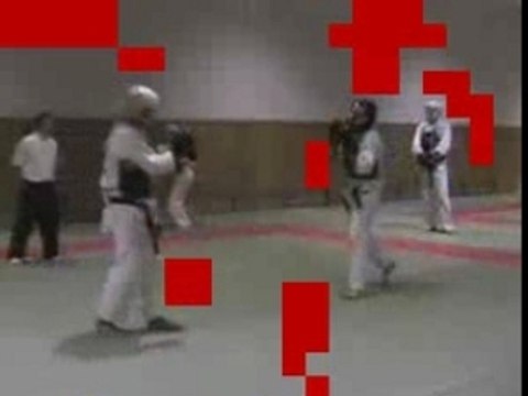 ANKF NIPPON KEMPO training Meji 2006