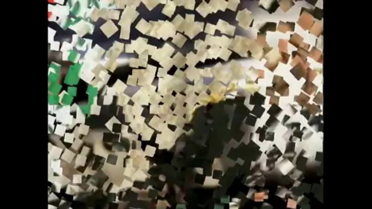 Please stop killing us