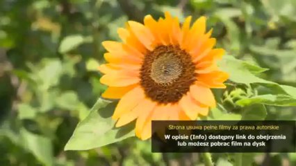 matura masters intermediate teacher's book