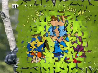 Что такое школа