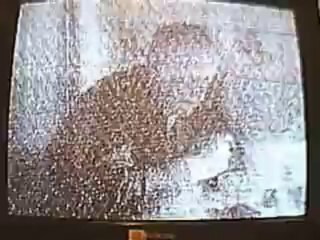 rusia 1 , ort , receptie pe sporadic-e in sesiuna august 2007 2