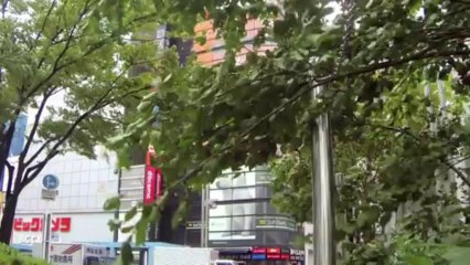 Tufão Wipha deixa 17 mortos no Japão