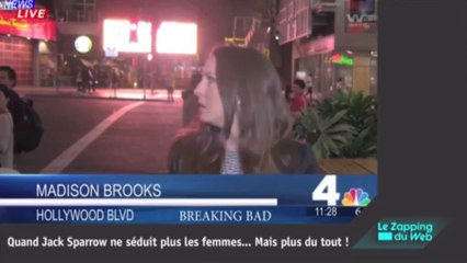 Les retrouvailles émouvantes d'une famille d'éléphants !