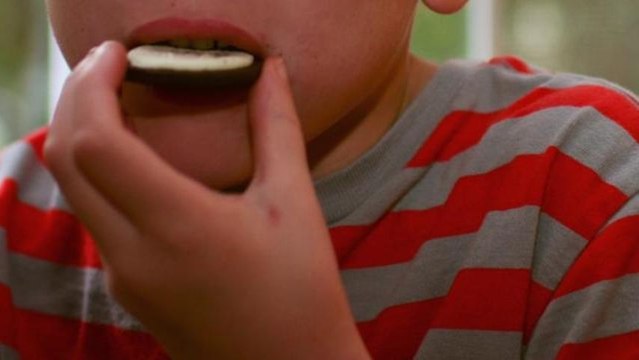 Oreos as Addictive as Cocaine According to Study