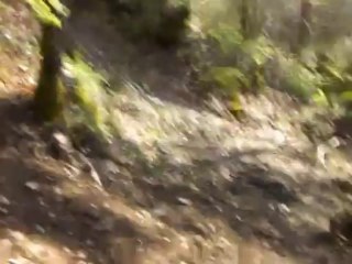 Du Puy en Velay à Santiago - Jour 2 - de St Privat à La Clauze