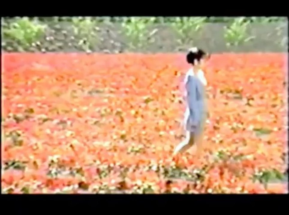 『港雨情』 ★　星美里 ★　夏川りみ １９歳の時の映像です。
