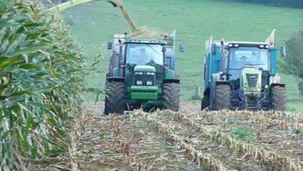 Mais moisson et ensilage 1er octobre 2011