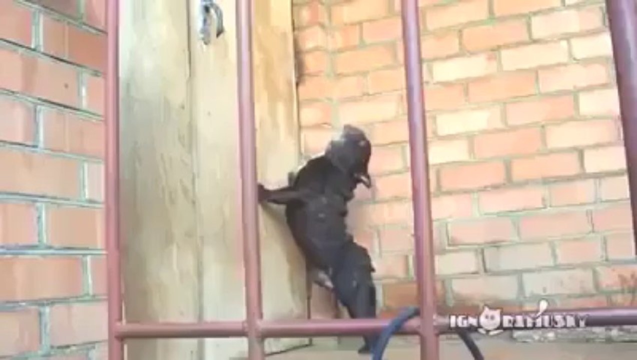abran la puerta
