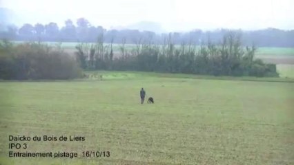 daicko du Bois de Liers piste  entrainement 16 10 2013