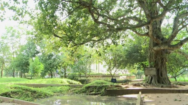 Cambodge: phase finale pour le procès des Khmers rouges