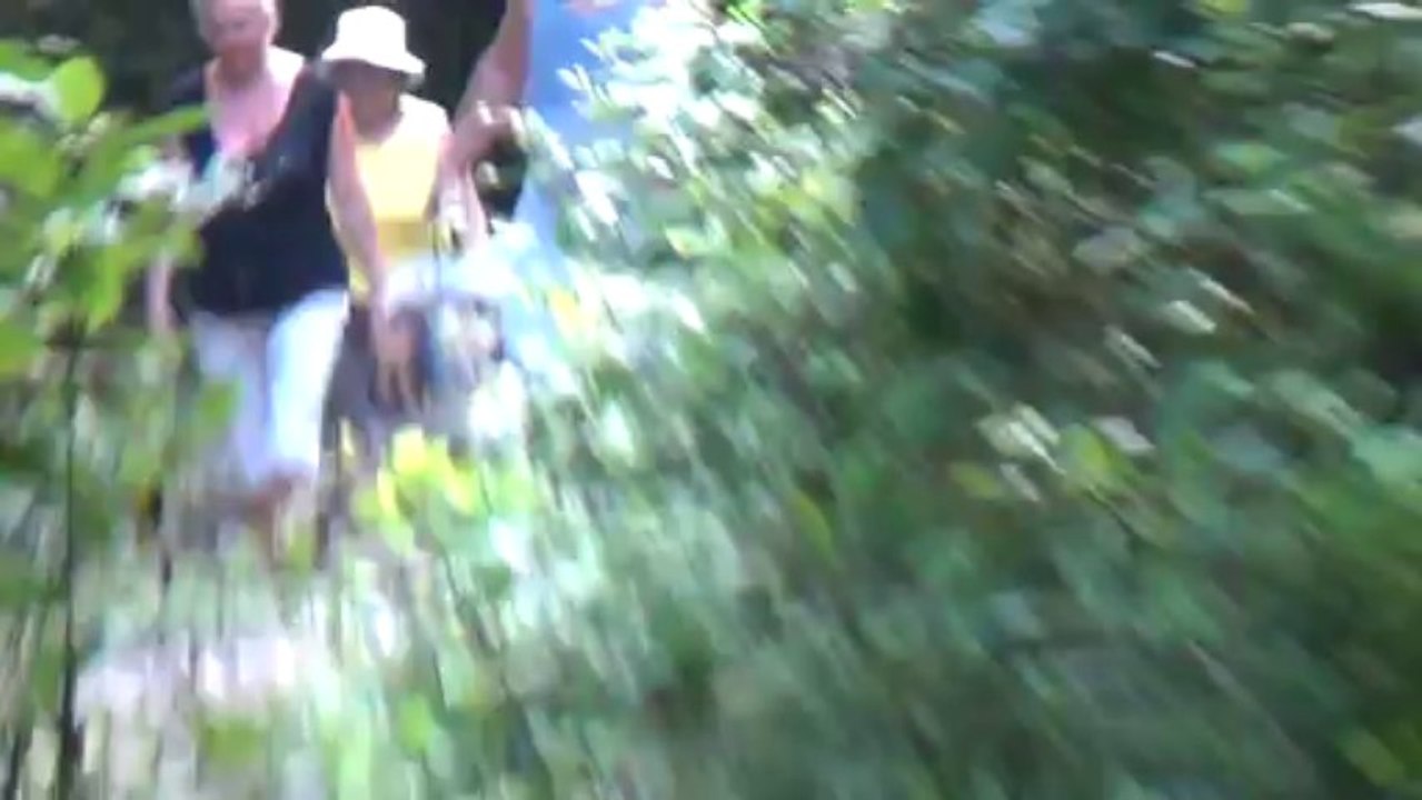 к водопаду по Жоэкварскому ущелью