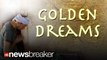 GOLDEN DREAMS: India’s Gov’t Digs For Buried Treasure Based on Sage’s Dream