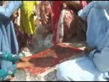 Laal Shahbaz Qalandar Ki Dargah Ka Hajj 03of11 - Sheikh Tauseef Ur Rahman