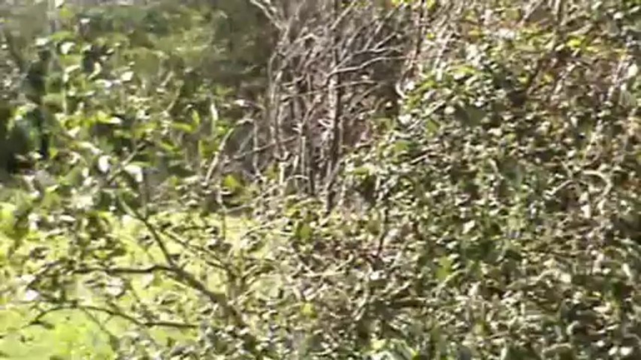 niki cross Touscayrats