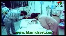 İmam Elveda 2 – İslâmi Davet  www.islamidavet.com