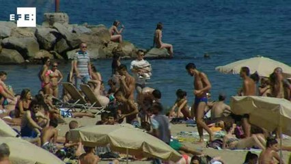 Aplicación para móvil informa si hay medusas en las playas y su peligrosidad