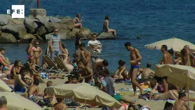 Aplicación para móvil informa si hay medusas en las playas y su peligrosidad