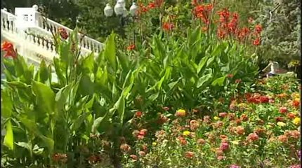 Aragón, en alerta amarilla por el calor