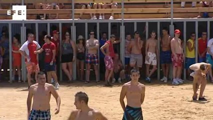 Muere una vaca en el festejo de los bous a la mar de Dénia tras caer al agua