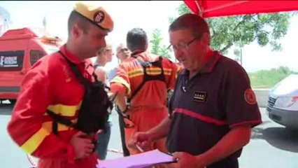 Calcinadas casi 50.000 hectáreas en Valencia