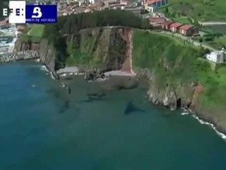 Notable mejora en la situación tras el vertido de fuel en Asturias