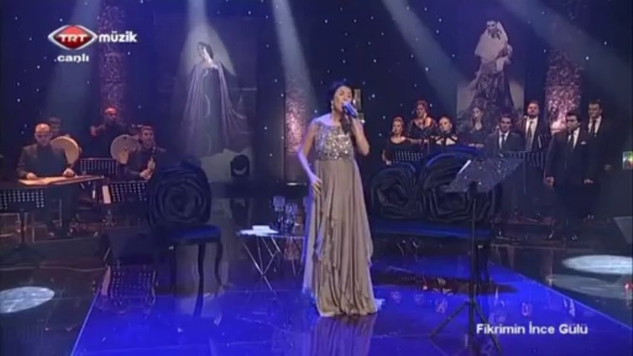 01 melihat gülses gece sessiz ve karanlık yine her şey uyumuş 13.10.2013 fikrimin ince gülü