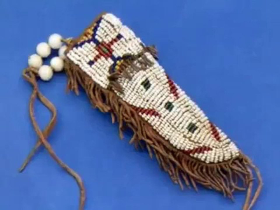 The First Nations Wars - The American Indian-3