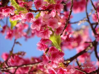 EXODOS CAP 5 - A BIBLIA NA LINGUAGEM DE HOJE