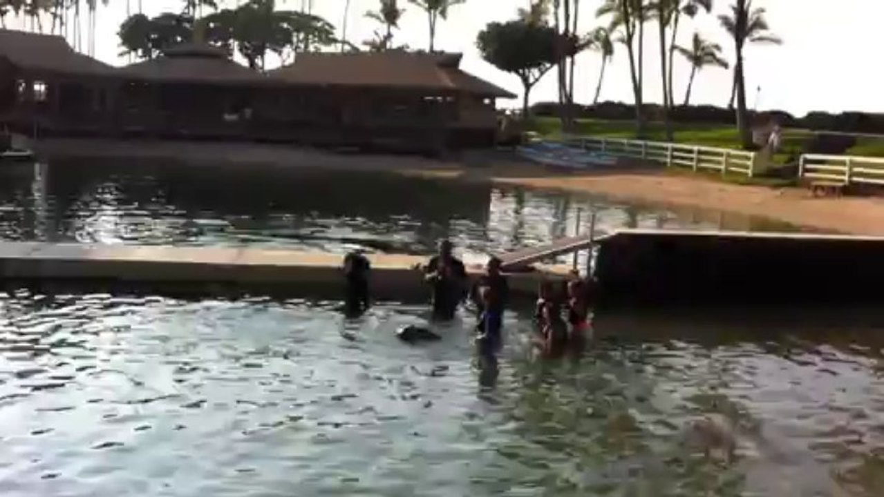 Margaux joue avec un dauphin