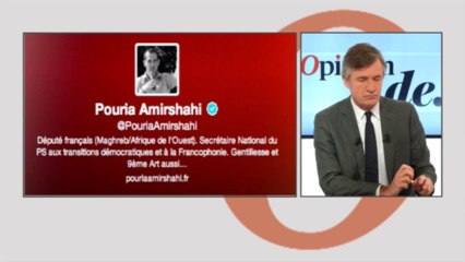 L’Opinion de Pouria Amirshahi