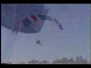 Bigfoot Investigation Techniques