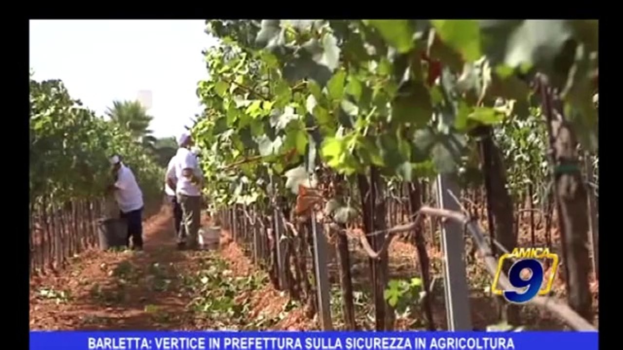 Barletta: vertice in prefettura sulla sicurezza in agricoltura