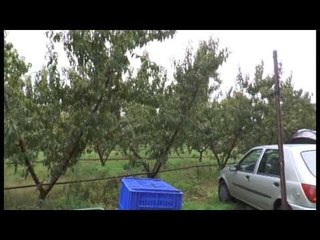 Napoli - Rubato trattore nel bene confiscato a Chiaiano -2- (16.10.13)
