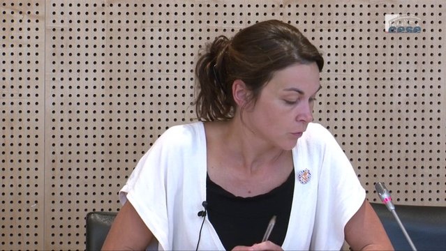 Audition de Haud Le Guen, Les petits débrouillards du Grand Ouest - cese