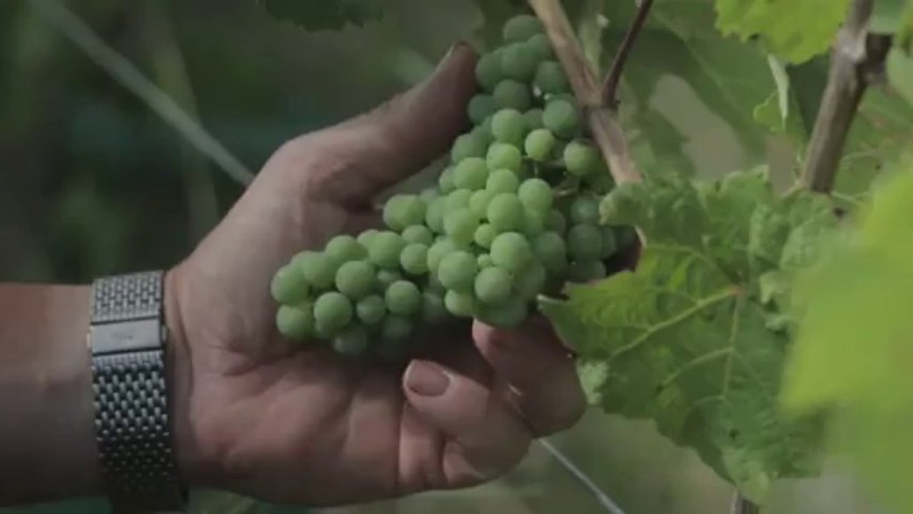 Amours d'Alsace - la websérie