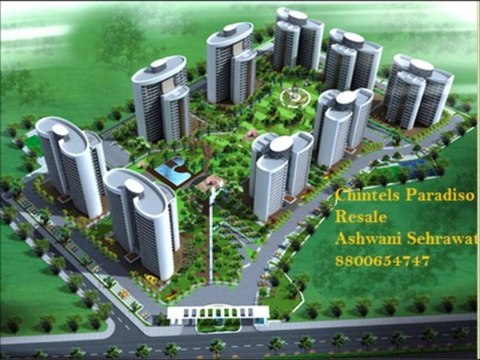 [Chintels Paradiso 3BHK] ASHWANI SEHRAWAT:-8800654747