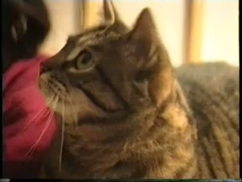 nekodomo part09