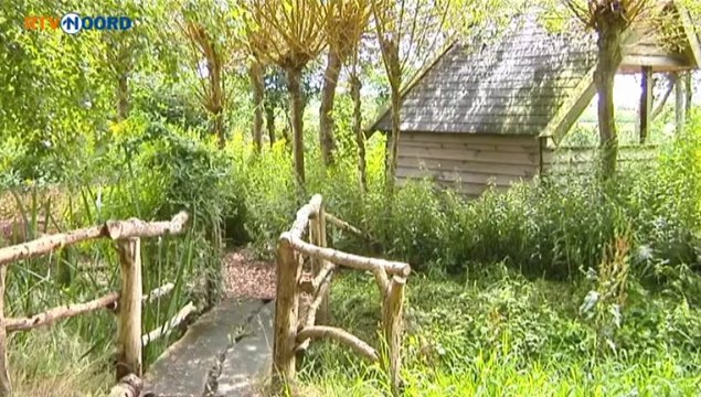 God in Groningen: Elohim Centre - RTV Noord