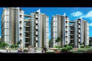 Paramount Emotions Resale  9910155922 , Paramount Emotion Flats
